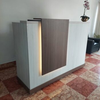 Recepcion moderna 001