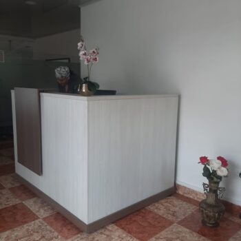 Recepcion moderna 002